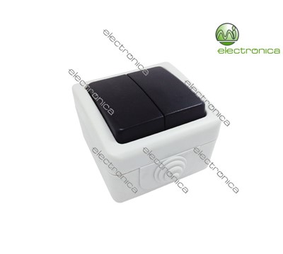 INTERRUPTOR 2x EXTERIOR IP54 10A 250V