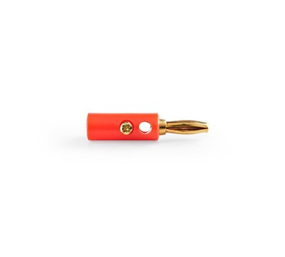 CONETOR BANANA-BANANA MACHO-BANHADO A OURO - VERMELHO